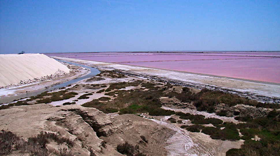 Le Salin de Giraud
