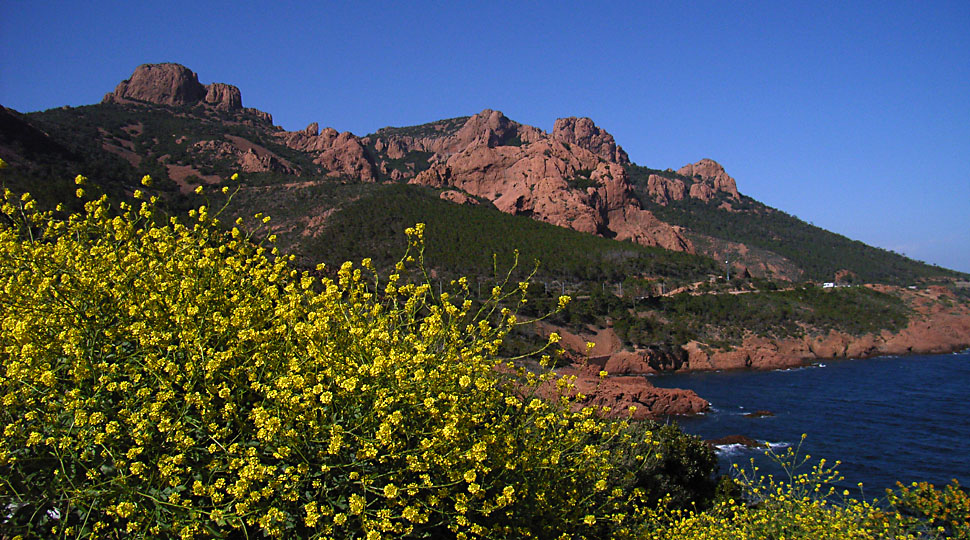 Esterel