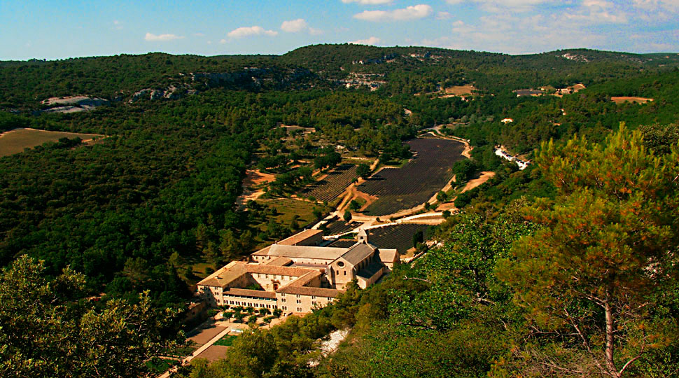 Abbaye de Senanque