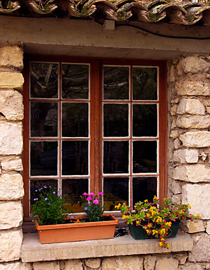 Fenster mit Blumen